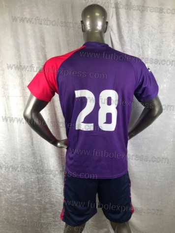 Uniforme Soccer Monterrey Tercero 2018-19 Morado/Rosa